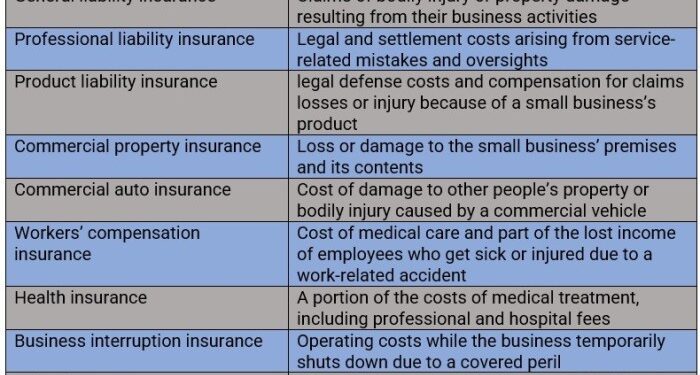 Everything you need to know about insurance for small businesses ...